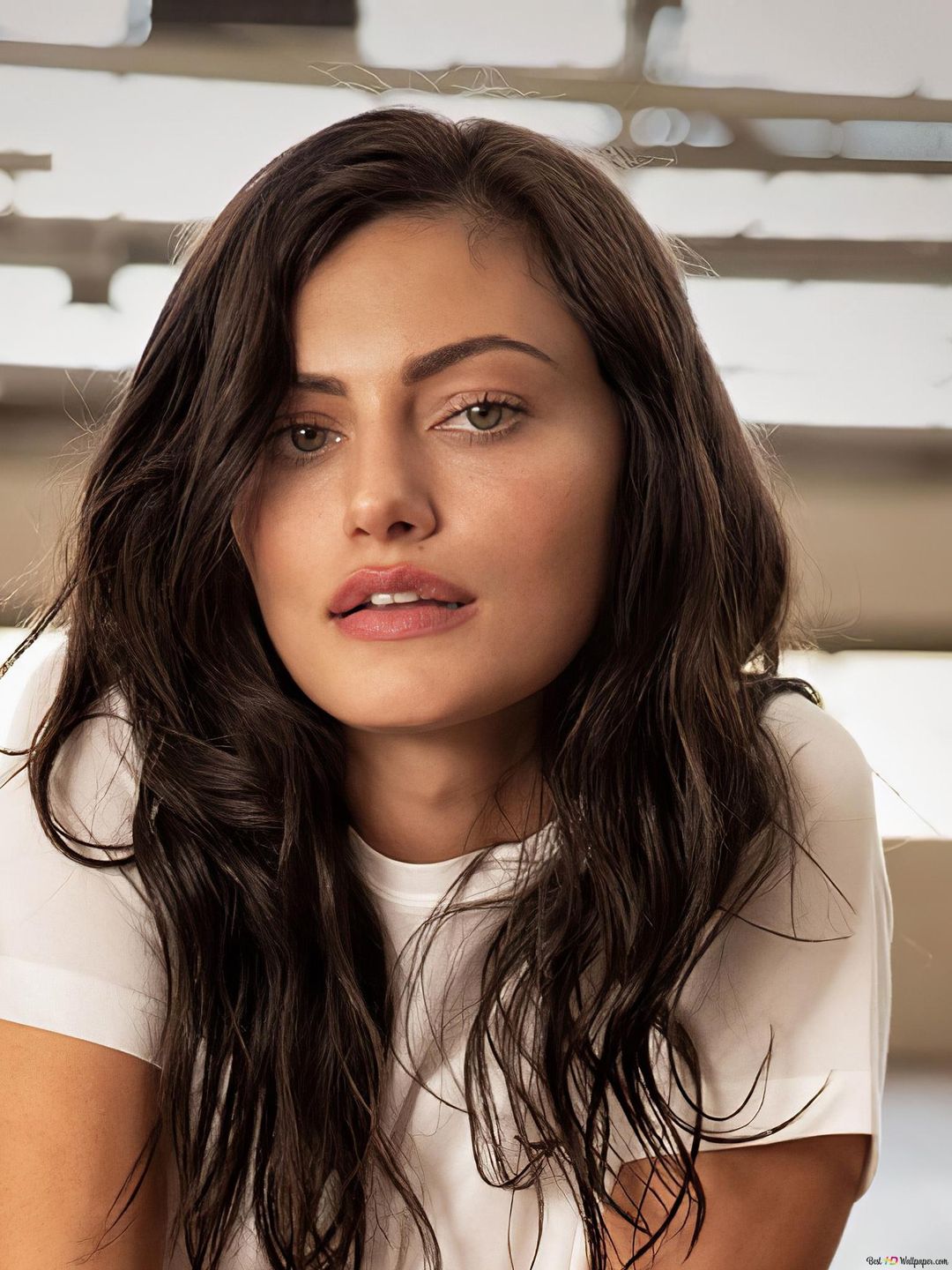 Phoebe Tonkin how old is she