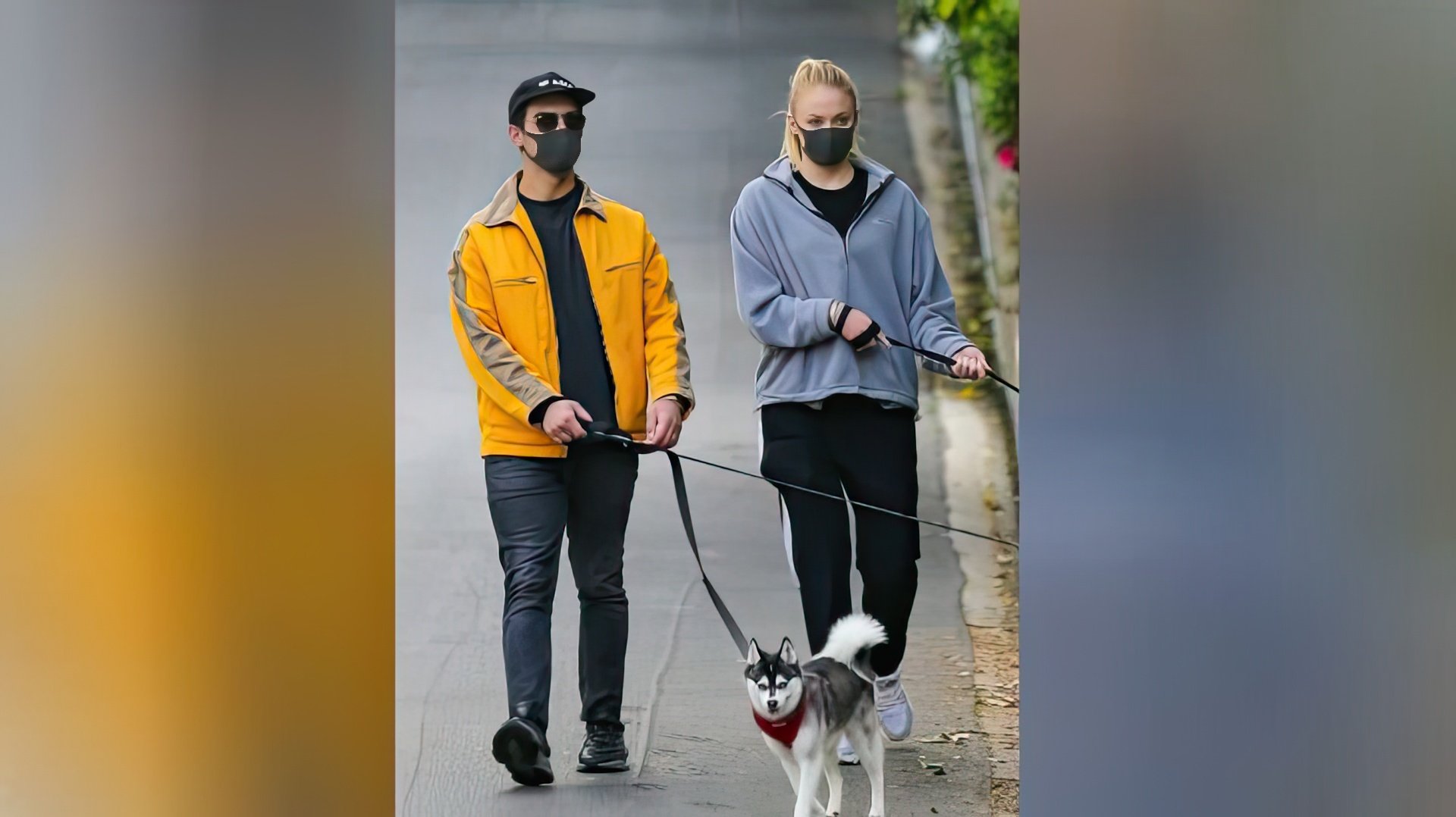 Sophie Turner, Joe Jonas and their dog