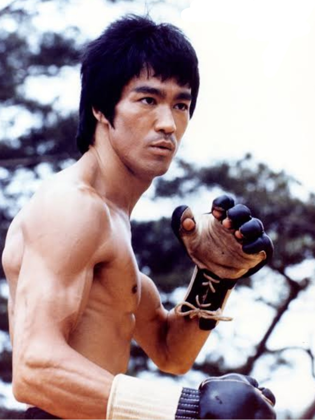 Bruce Lee the last photo