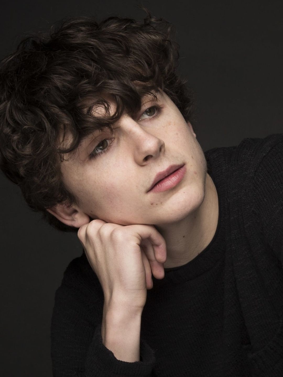 Timothee Chalamet who is his father