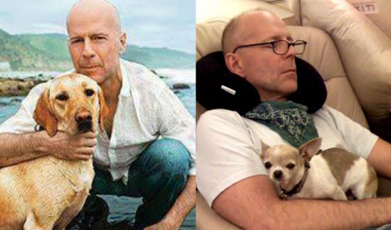 Action movie star adores his dogs 