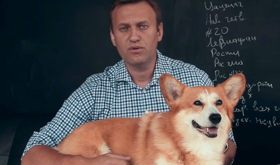 Navalny has found the private jet of Shuvalov