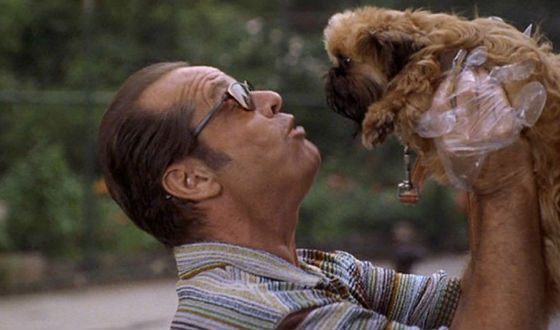As Good as It Gets: Jack Nicholson and his dog