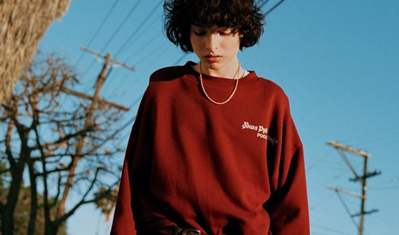 Finn Wolfhard appears in the screen adaptation of the novel by Donna Tartt