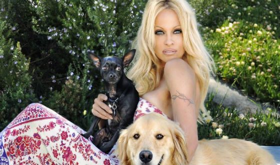 Caring for dogs helped Pamela Anderson to cope with depression