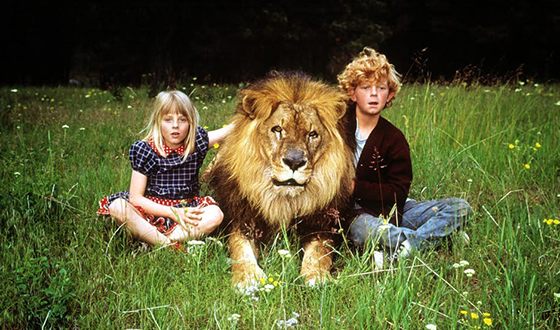 In 1972, Alicia appeared in the Disney movie Napoleon and Samantha