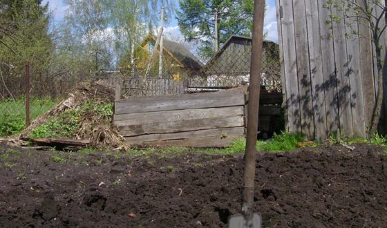 Russian man found human bones in his garden