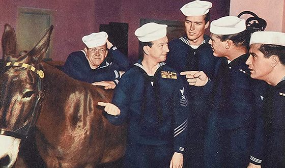 Clint Eastwood in the «Francis in The Navy» picture