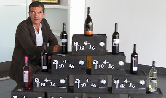 Antonio Banderas is engaged in wine production