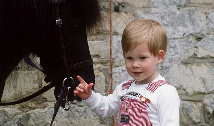 A childhood picture of Prince Harry
