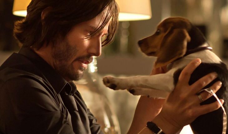 John Wick begins his revenge for the death of his beloved dog