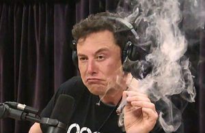 Why does everyone like Elon Musk?
