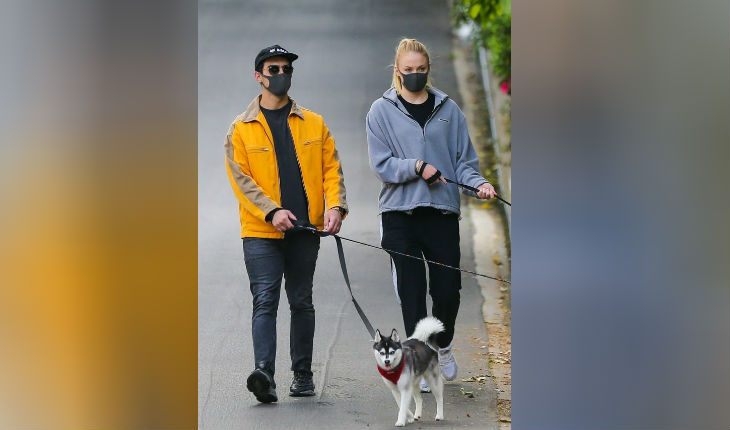 Sophie Turner, Joe Jonas and their dog