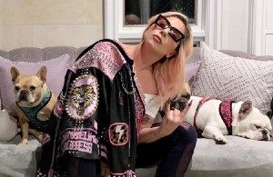 Lady Gaga`s dog-walker shot and bulldogs stolen