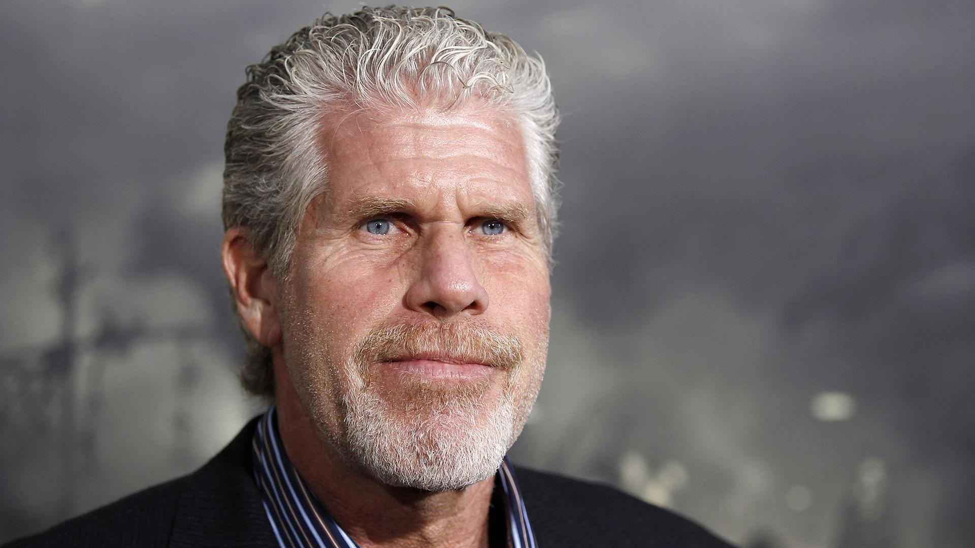 Actor Ron Perlman