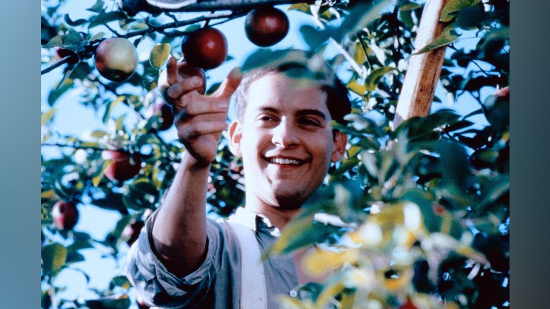 Tobey Maguire in the movie «The Cider House Rules»