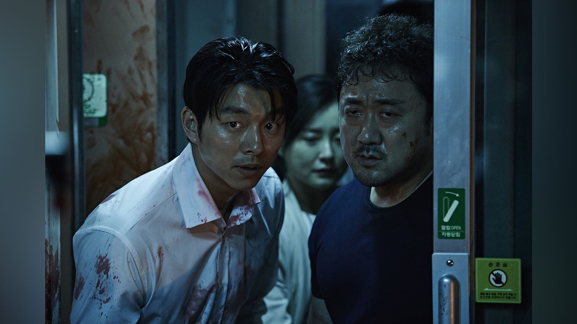 Ma Dong-seok in 'Train to Busan'