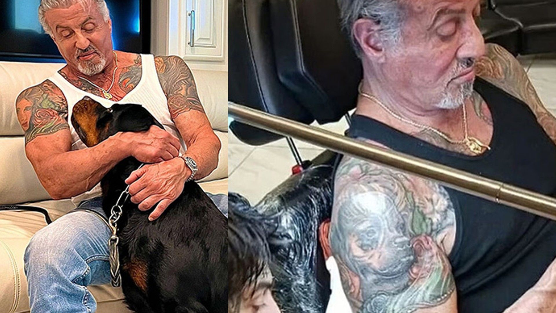 Did sylvester stallone get tattoos to cover stretch marks