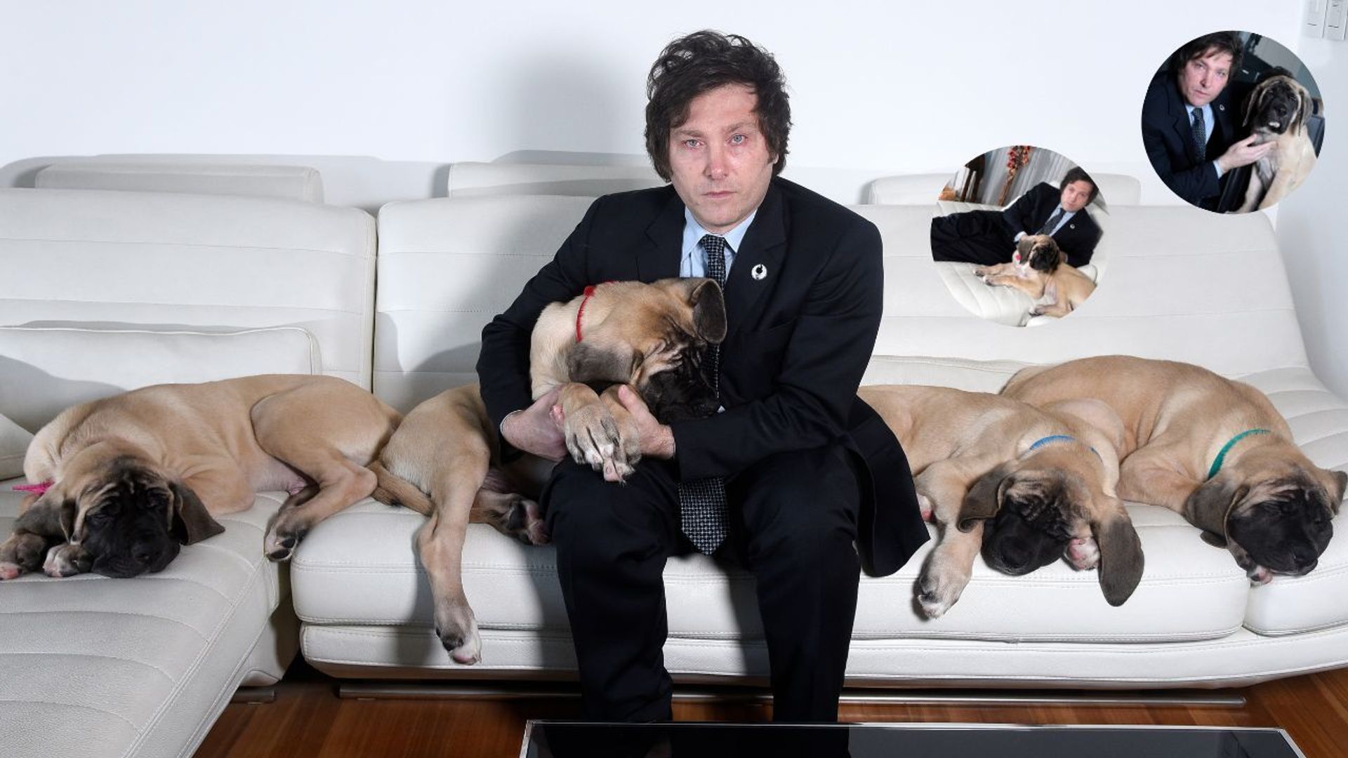 Javier Milei and his dogs
