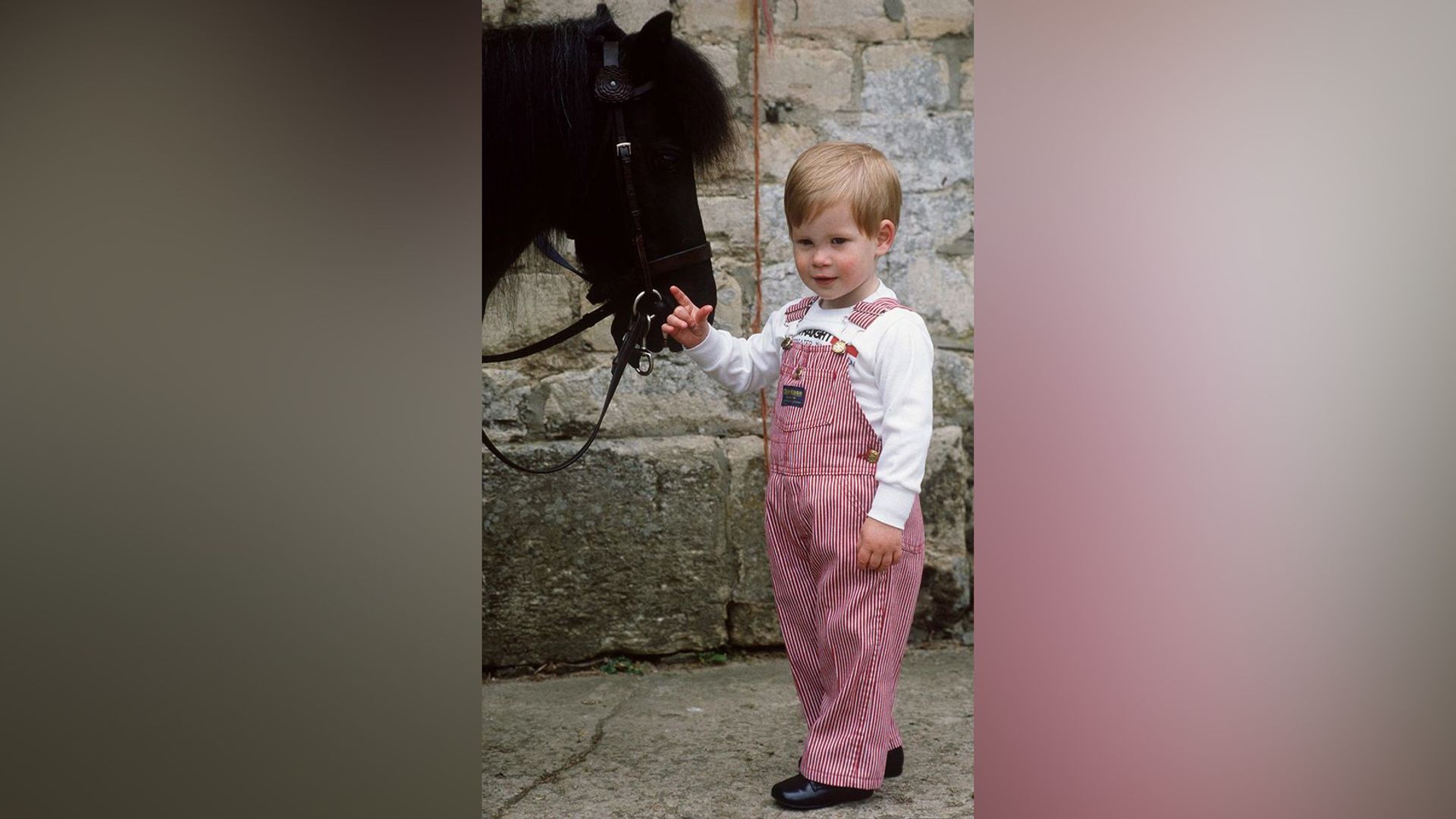 Prince Harry as a child