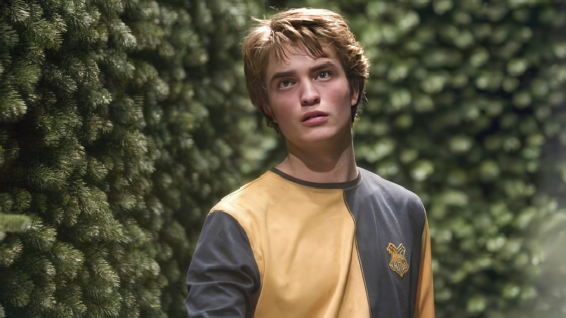 Robert Pattinson as Cedric Diggory