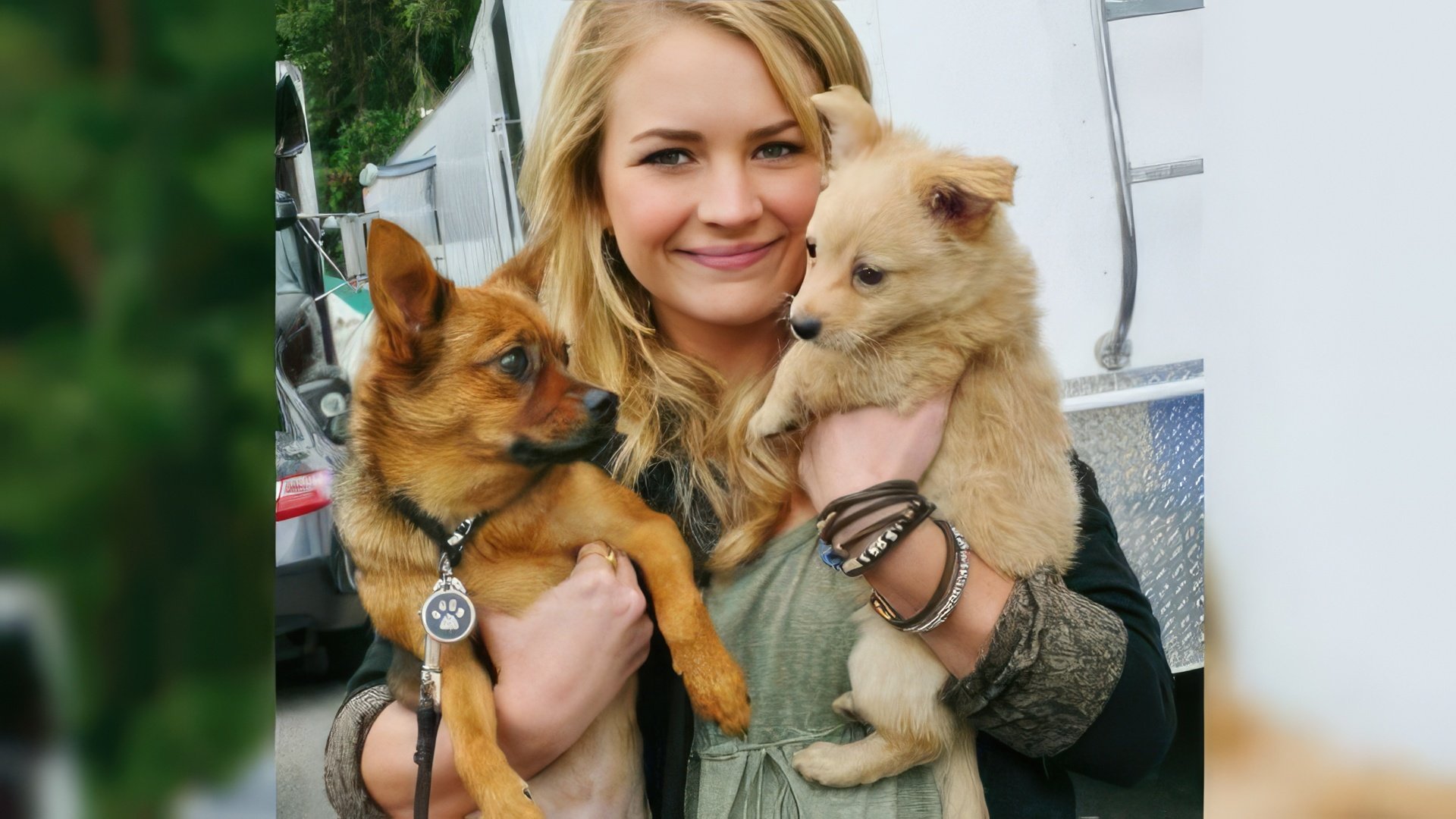 Britt Robertson and her dogs