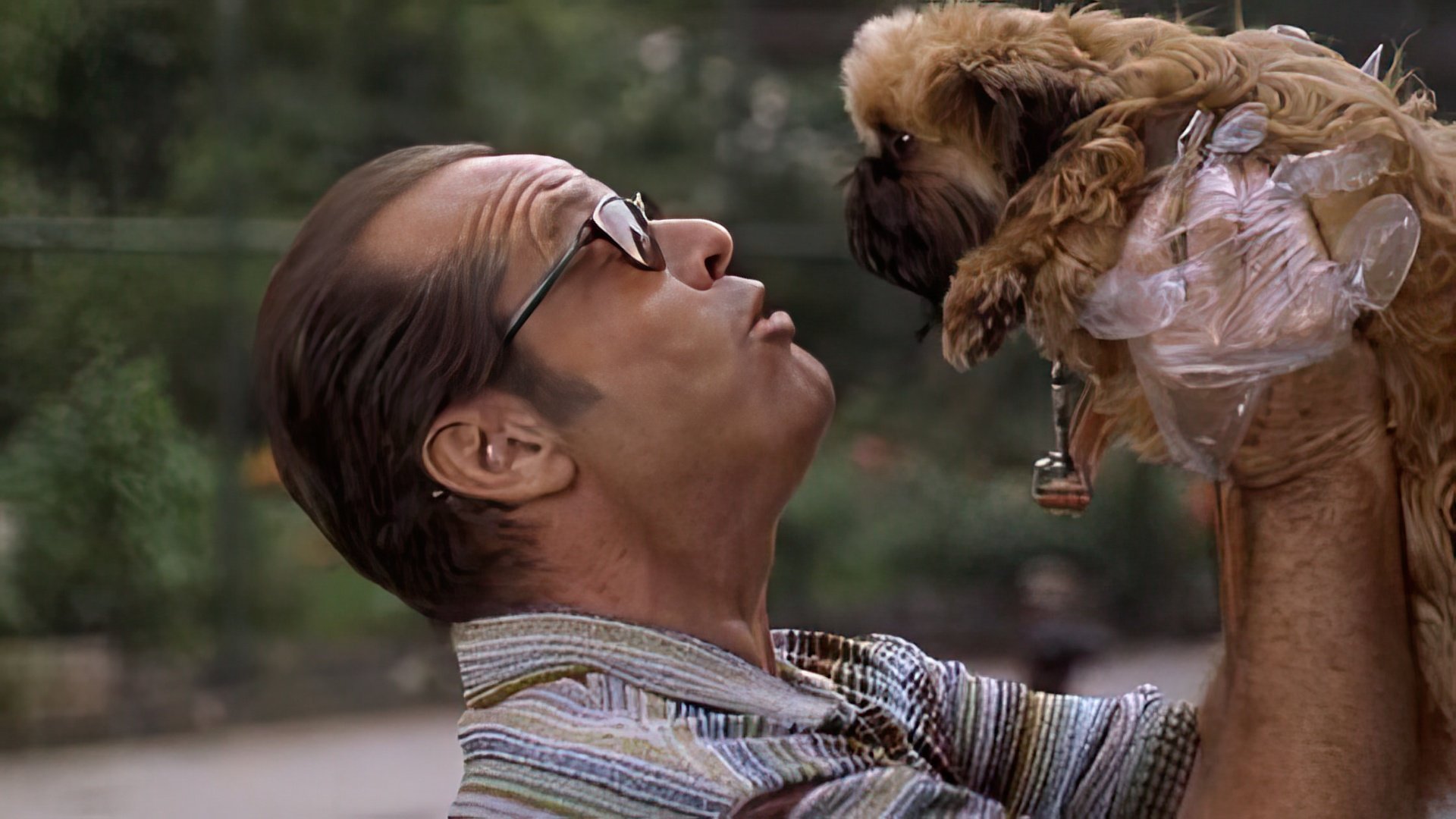 “As Good As It Gets”: Jack Nicholson and the dog