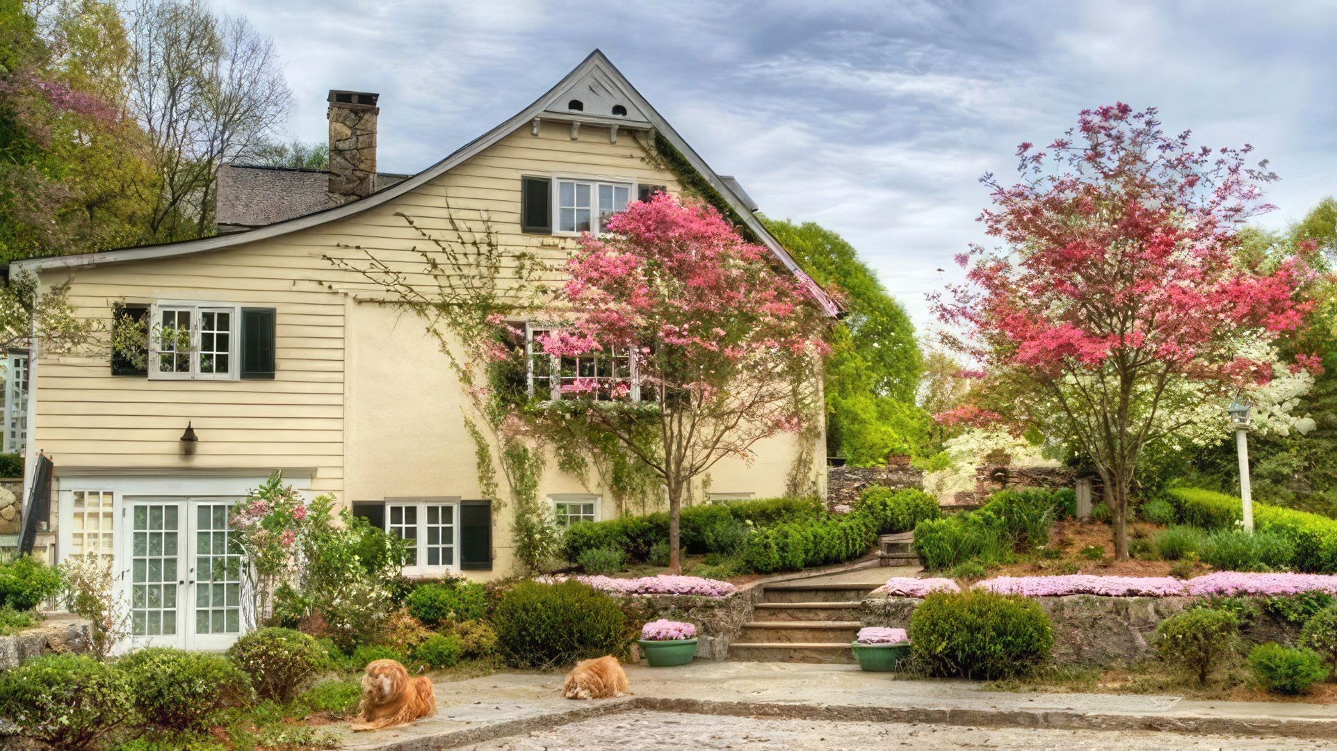The house where Ryan Reynolds and his family live
