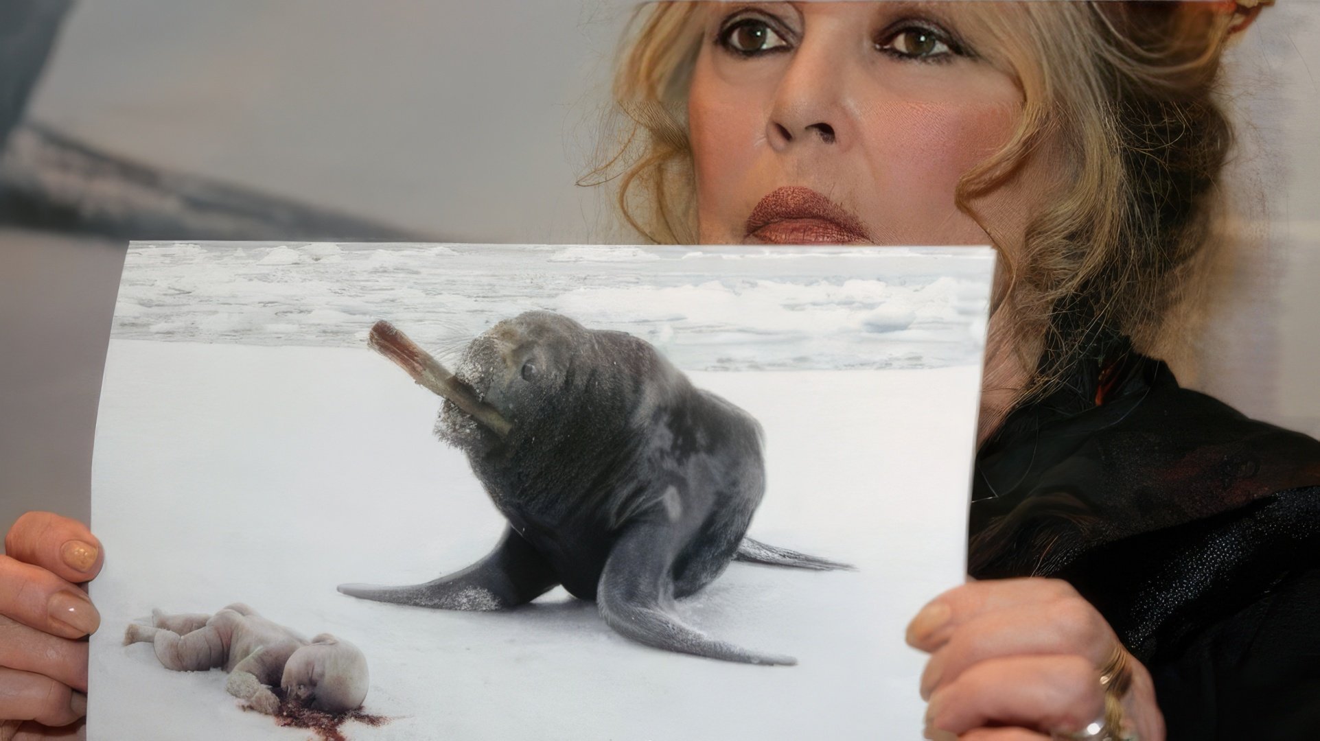 Brigitte Bardot against the Killing of Seals