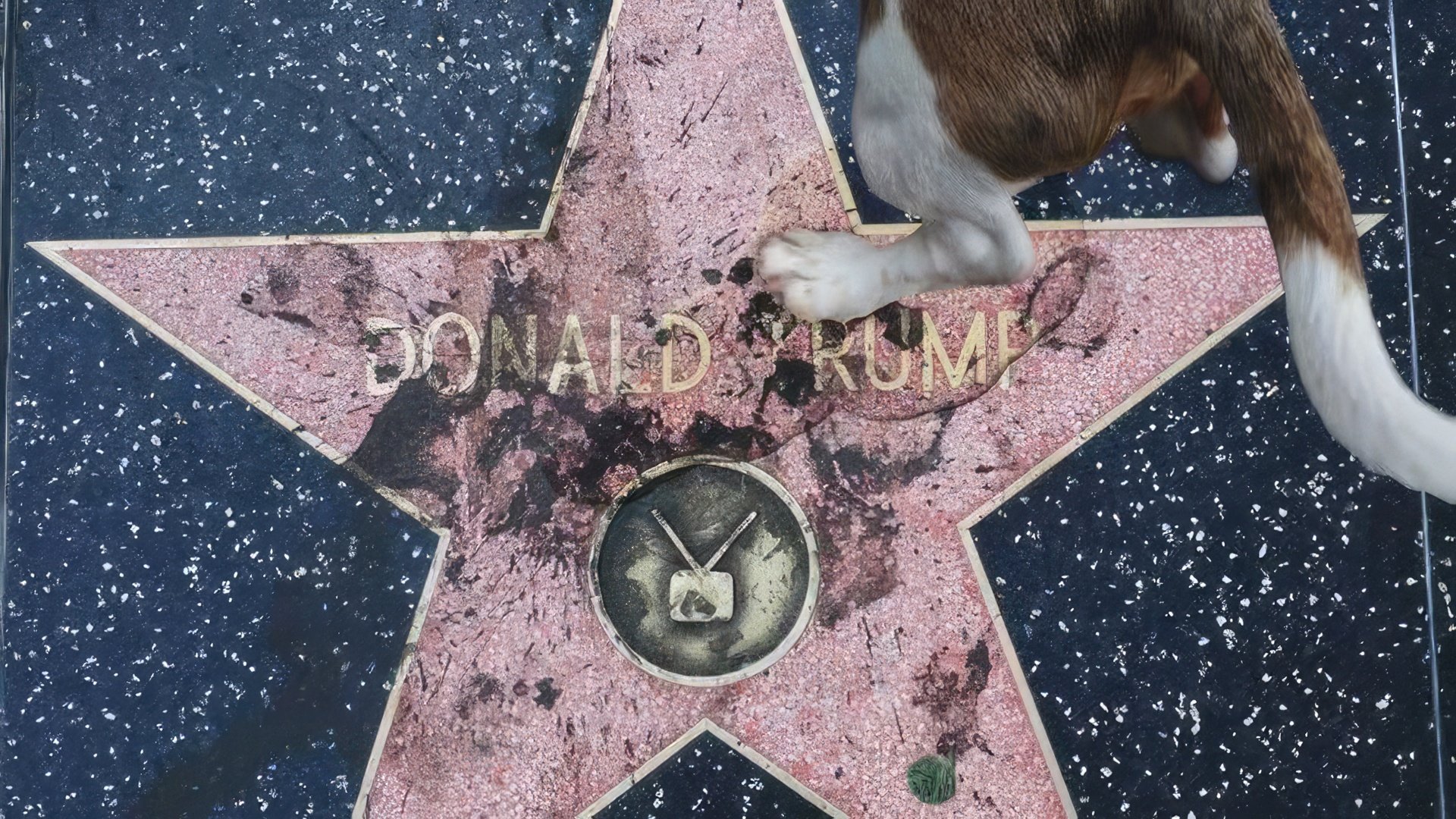 Trump's star has been repeatedly targeted by vandals