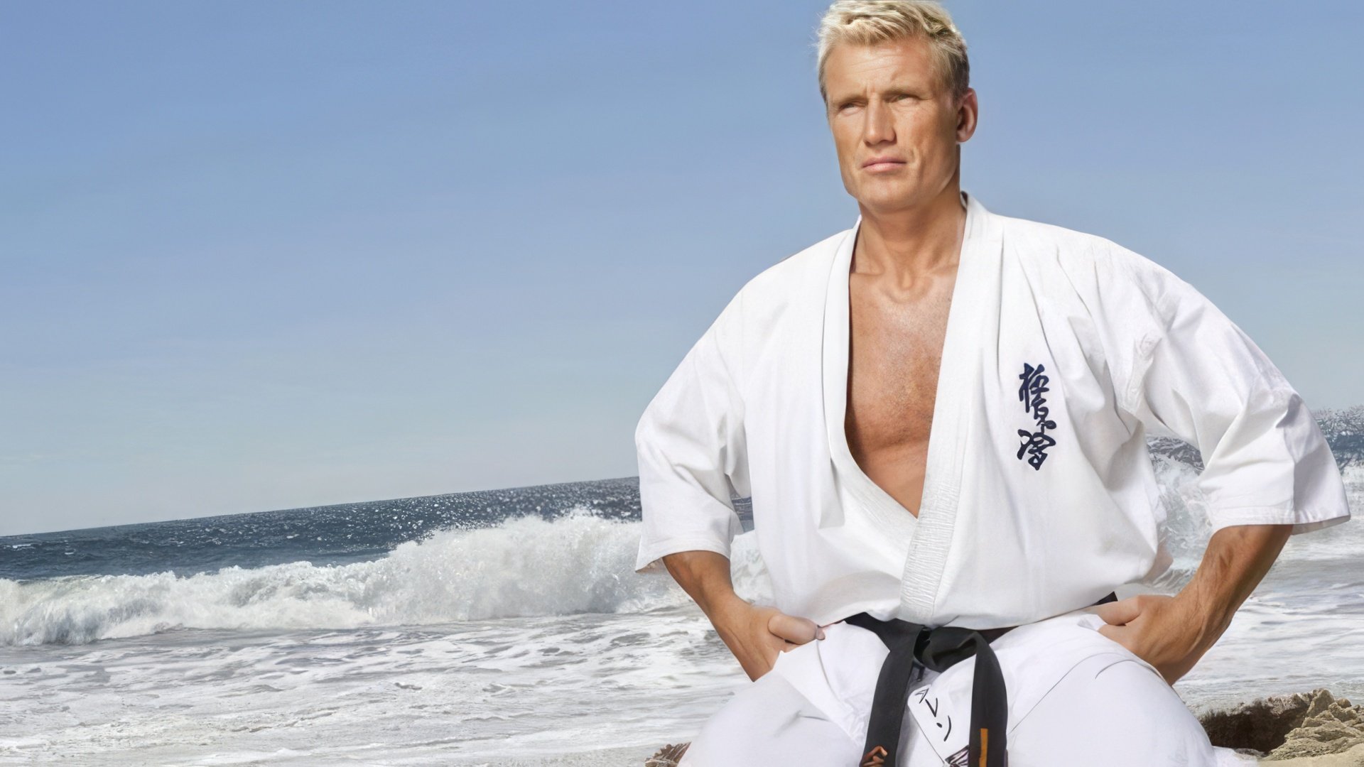 Dolph Lundgren holds a black belt in karate