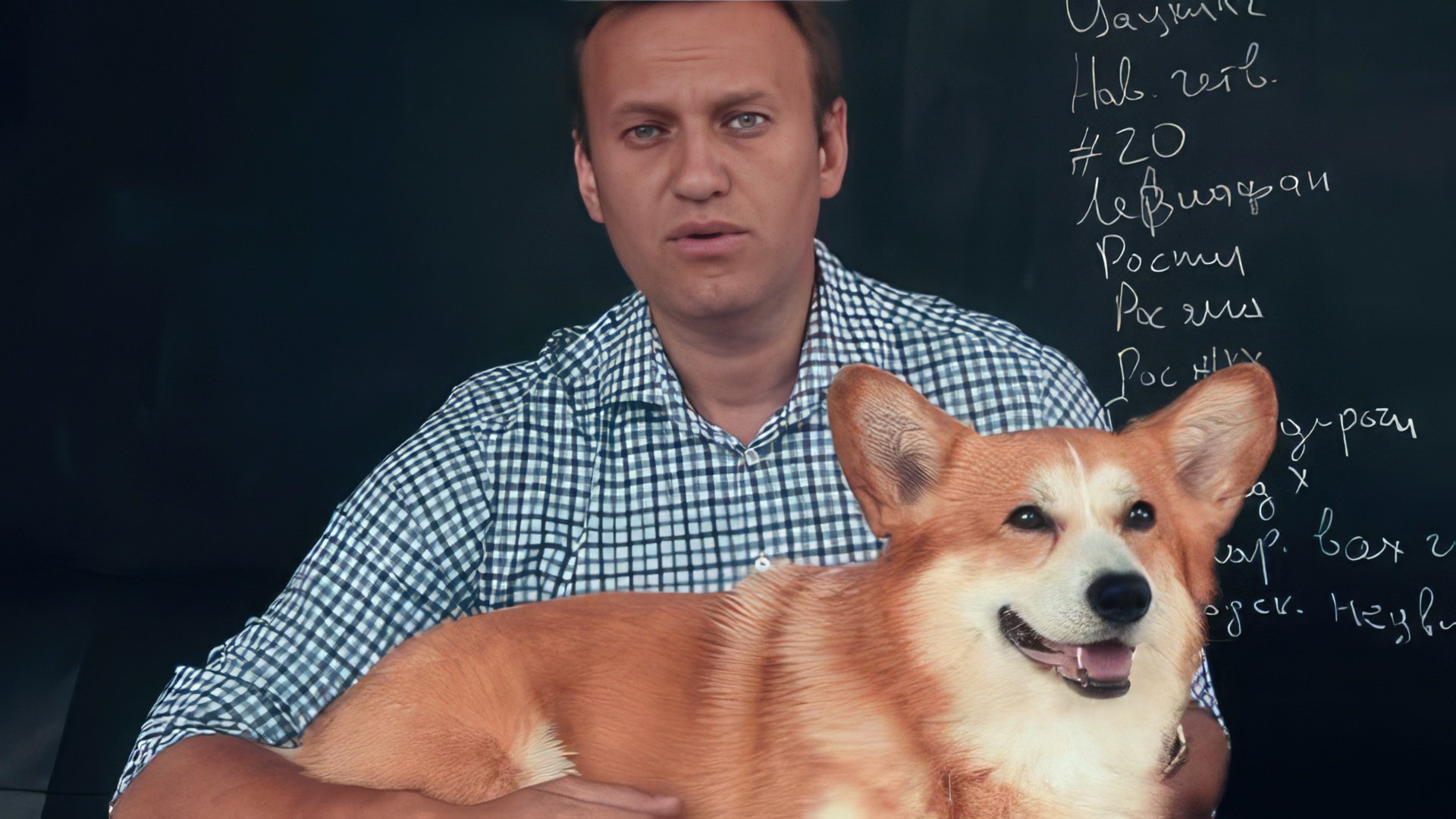 Navalny found Shuvalov's private plane