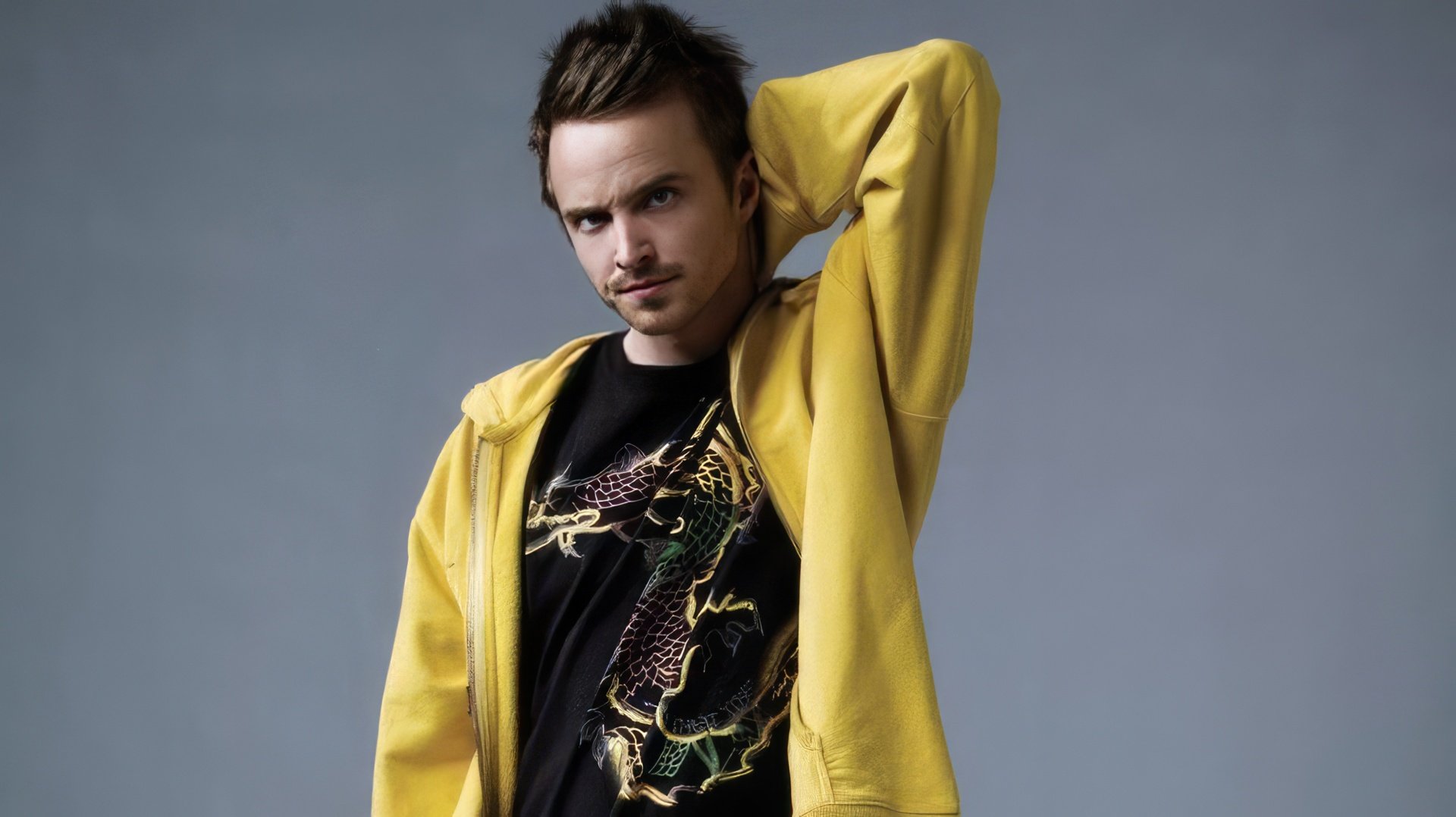 Aaron Paul as Jesse Pinkman