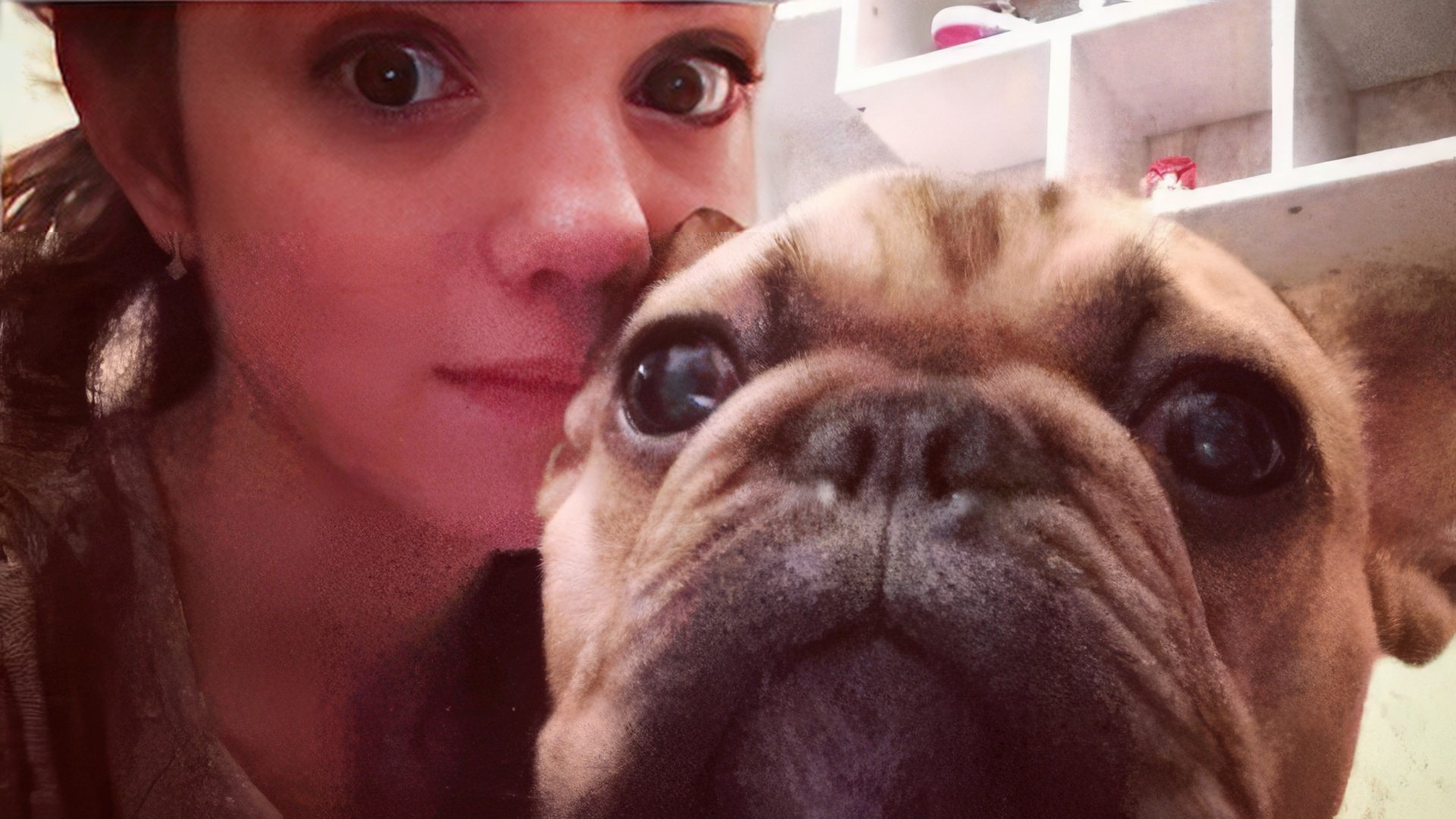 Evgenia Medvedeva and her beloved bulldog Jerry