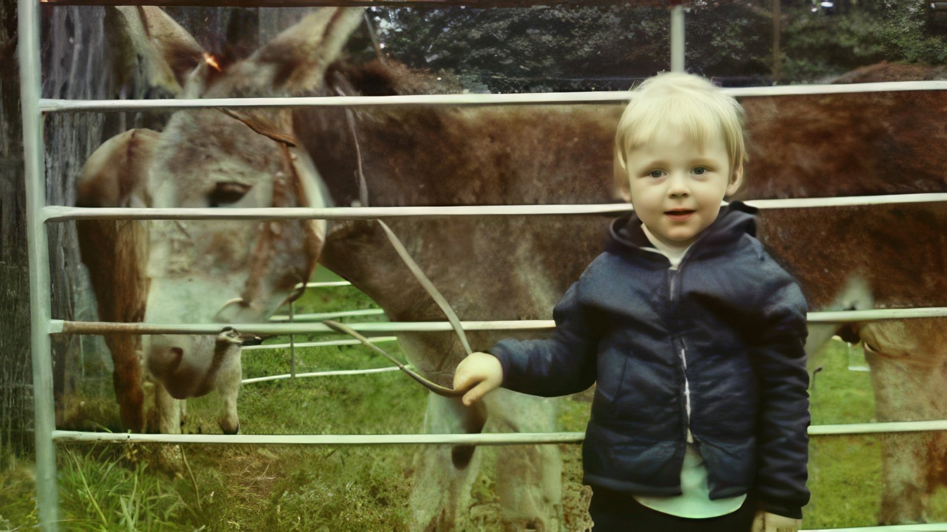 Simon Pegg in childhood