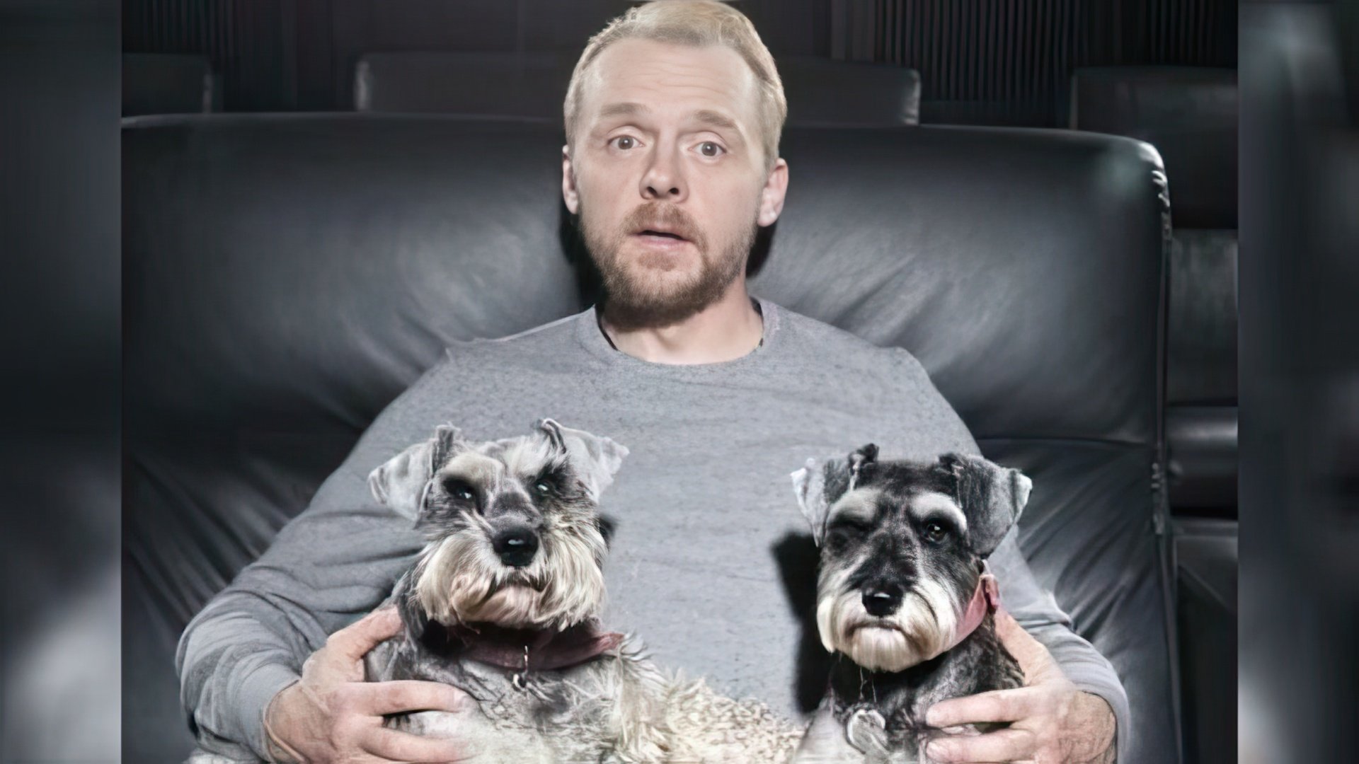 Simon Pegg's dogs