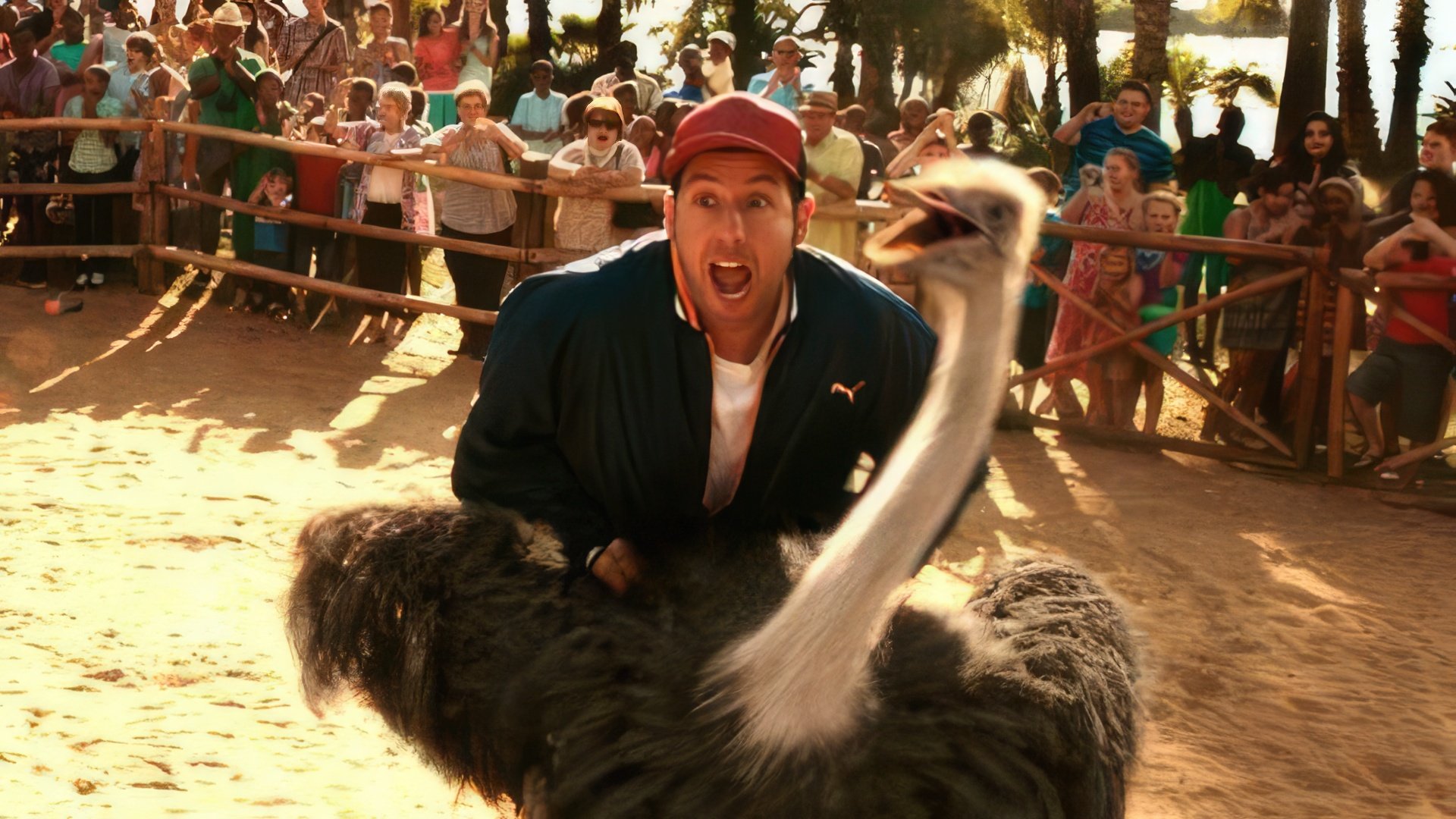 A scene from the «Blended»