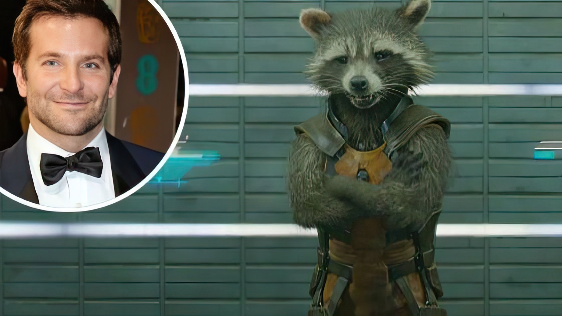Bradley Cooper gave his voice the raccoon in «Guardians of the Galaxy»