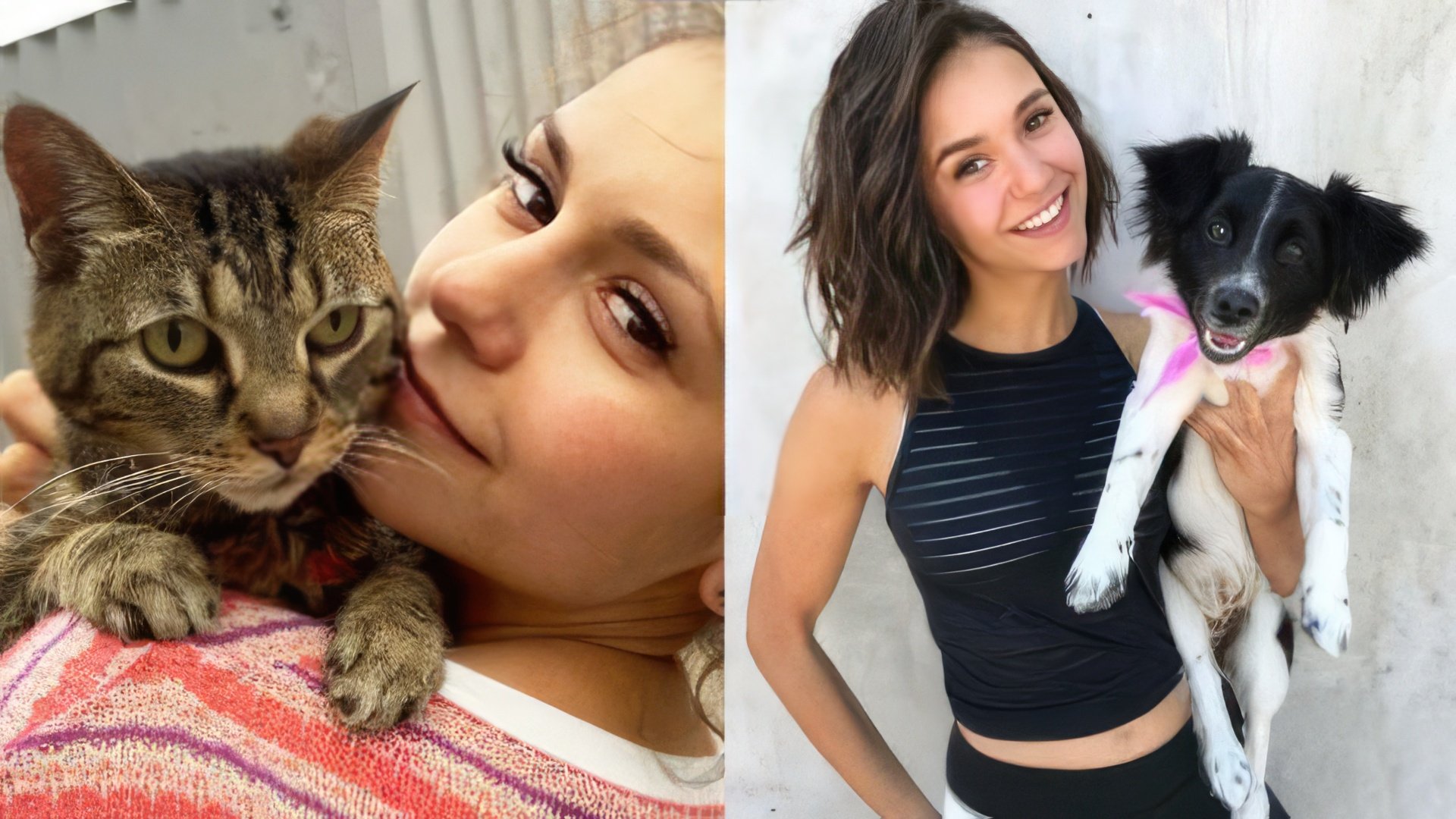 Nina’s pets: the cat Lynx and dog Maverick