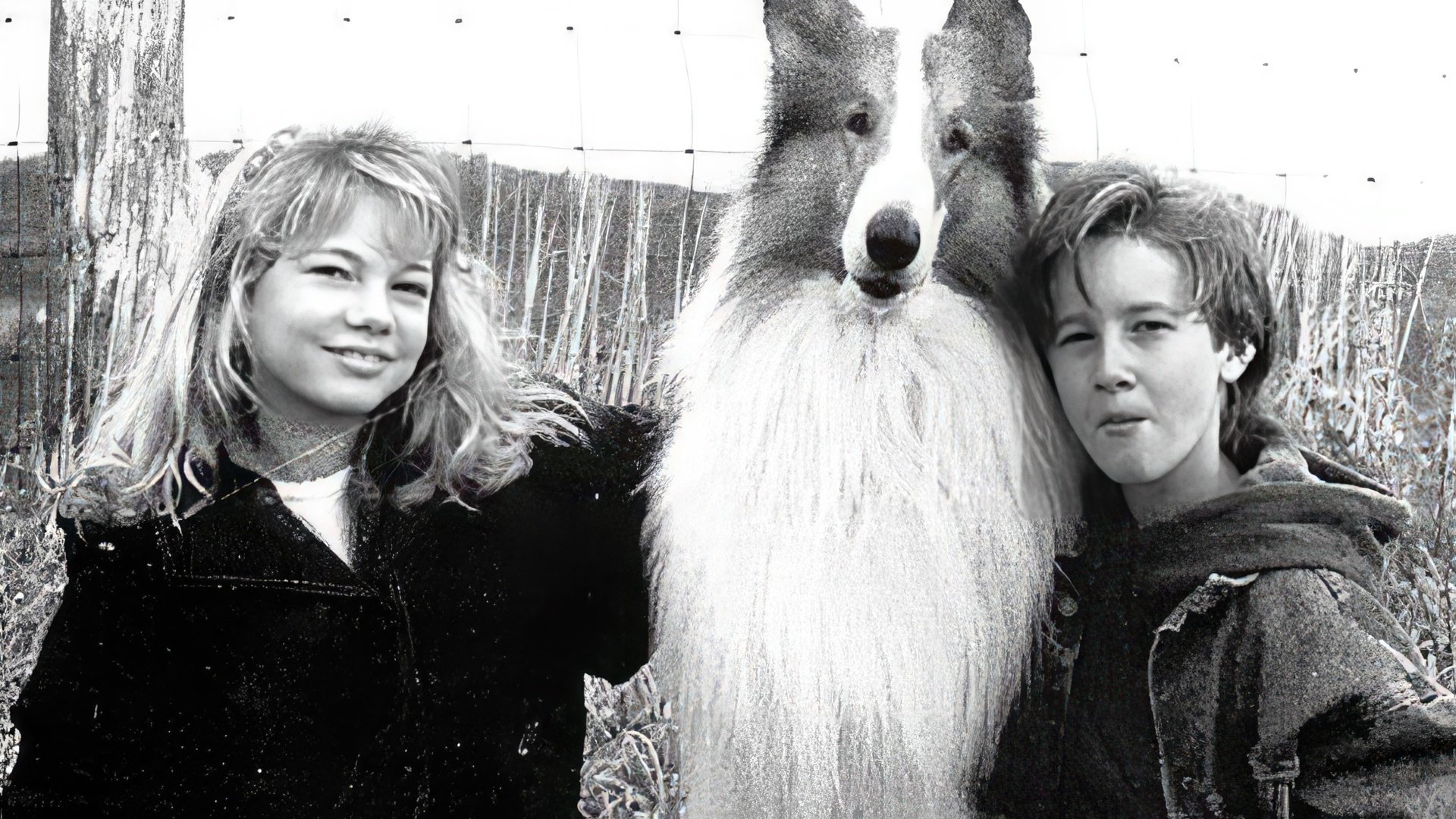 Michelle Williams on Lassie set