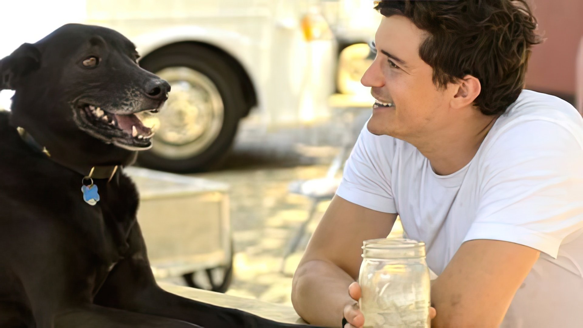 Orlando Bloom’s dog ‒ a «trophy» from the shooting