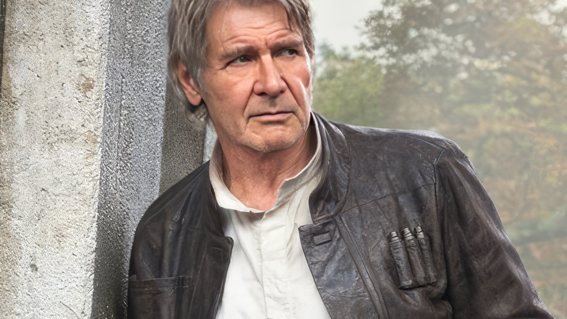 No need to be introduced, actor Harrison Ford
