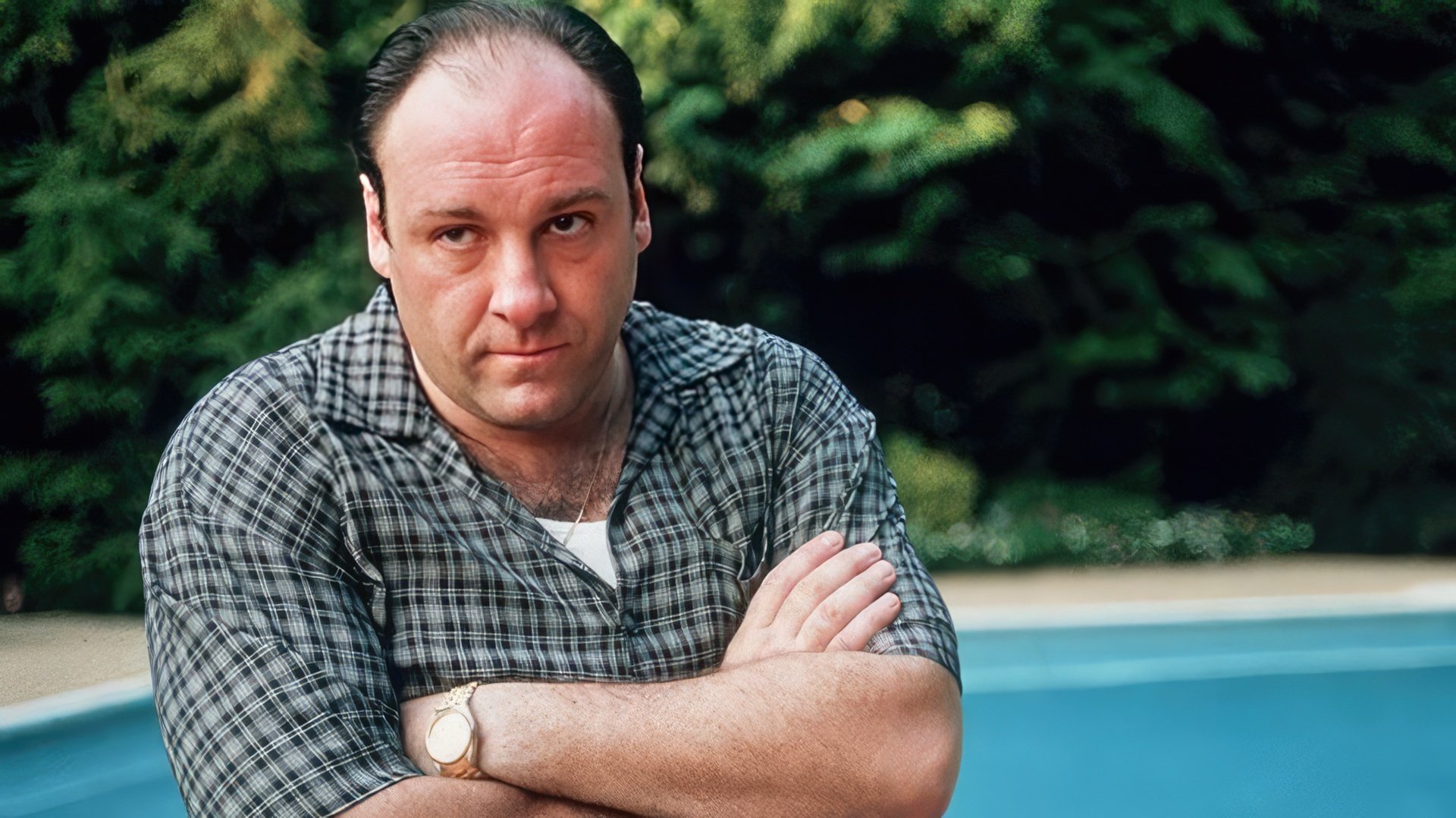 James Gandolfini as Tony Soprano