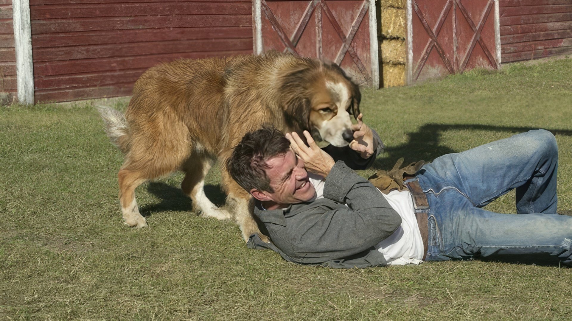In the movie 'A Dog's Purpose'