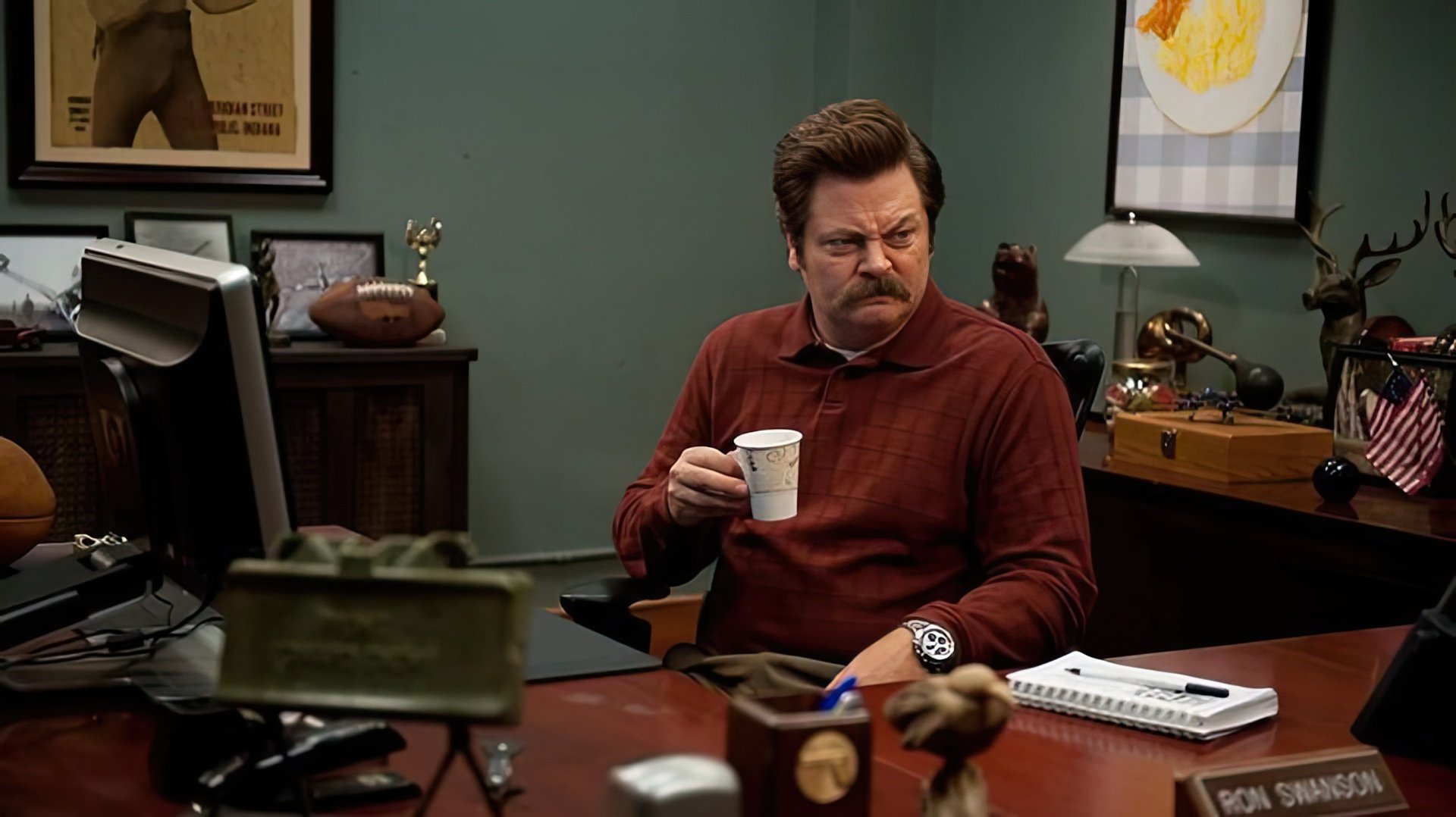 Nick Offerman as Ron Swanson