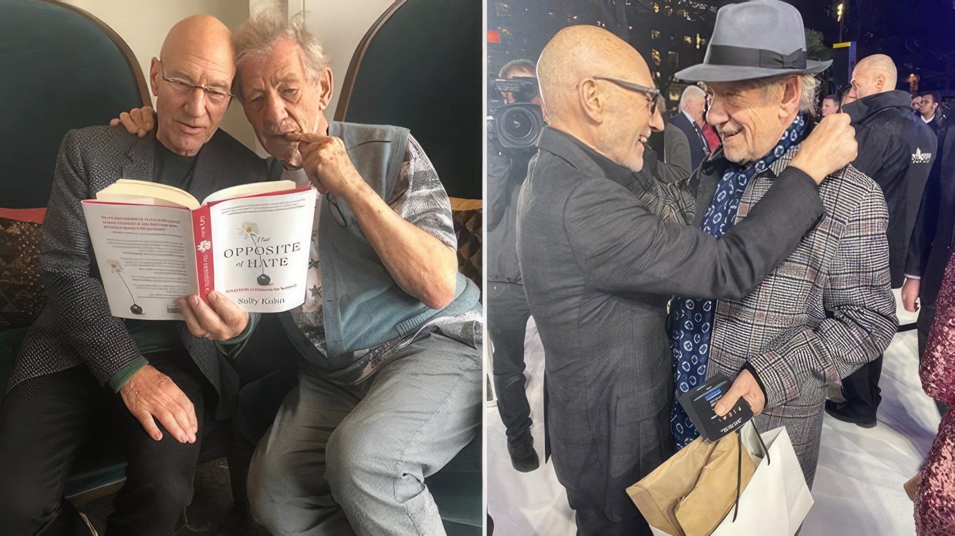 Patrick Stewart and Ian McKellen