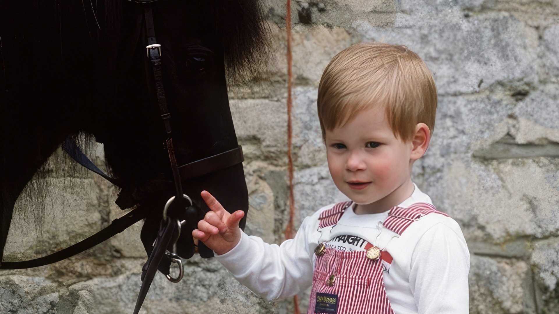 A childhood picture of Prince Harry