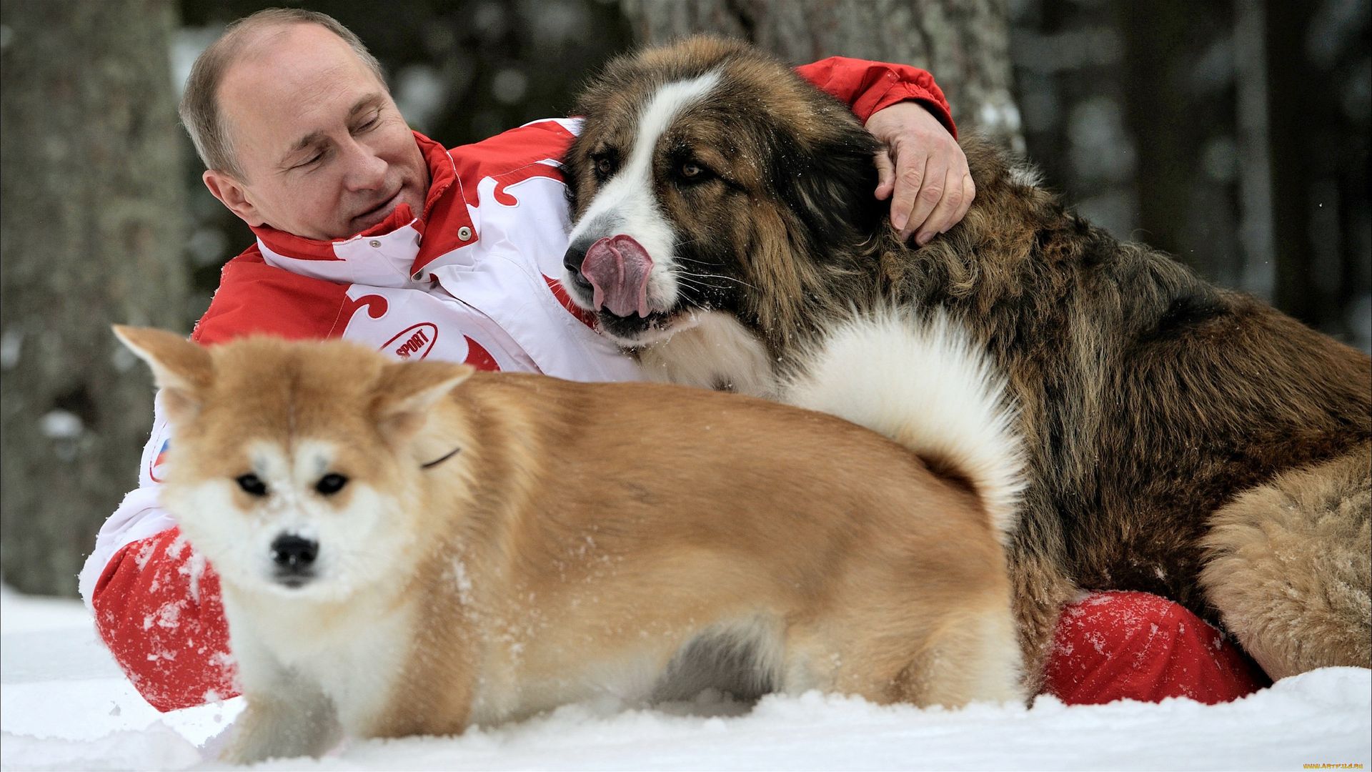 Vladimir Putin with pets