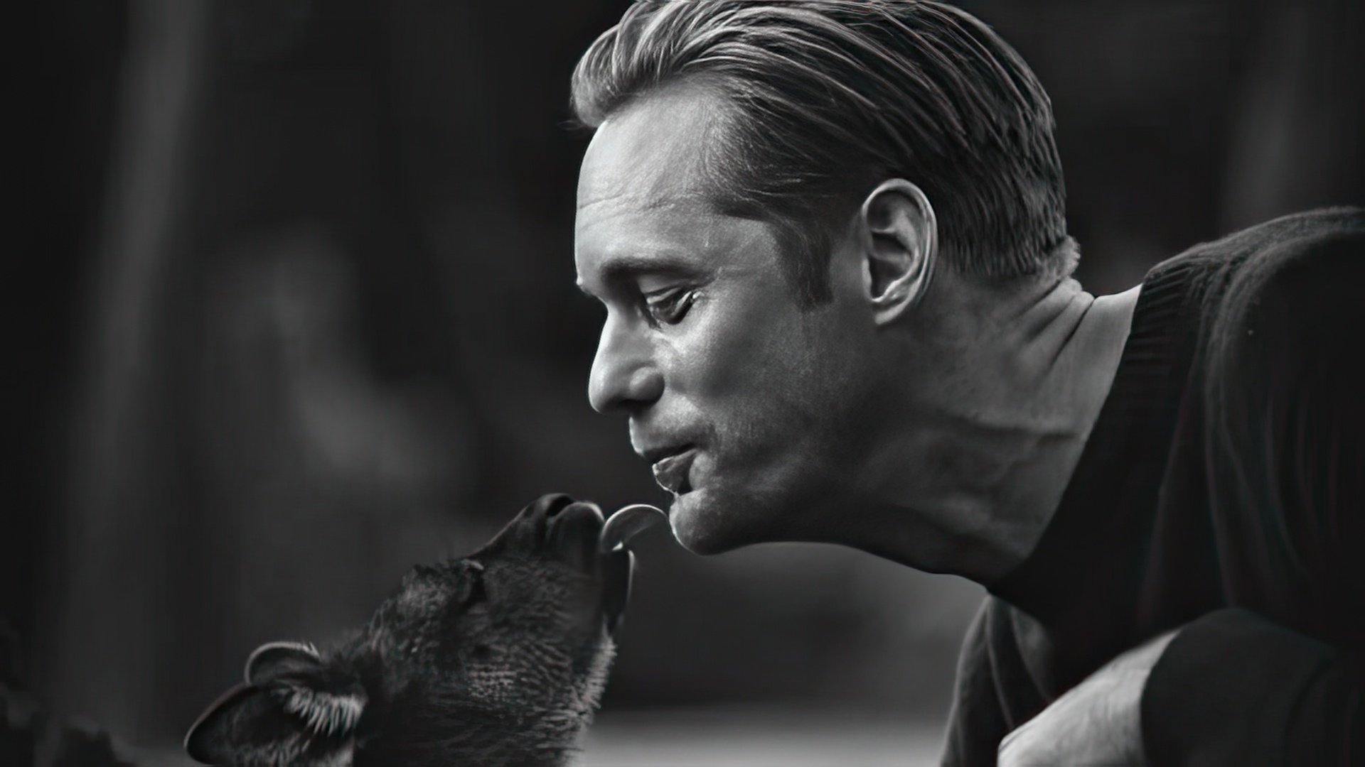 The shooting of «The Legend of Tarzan»: Alexander Skarsgård kisses a baby kangaroo