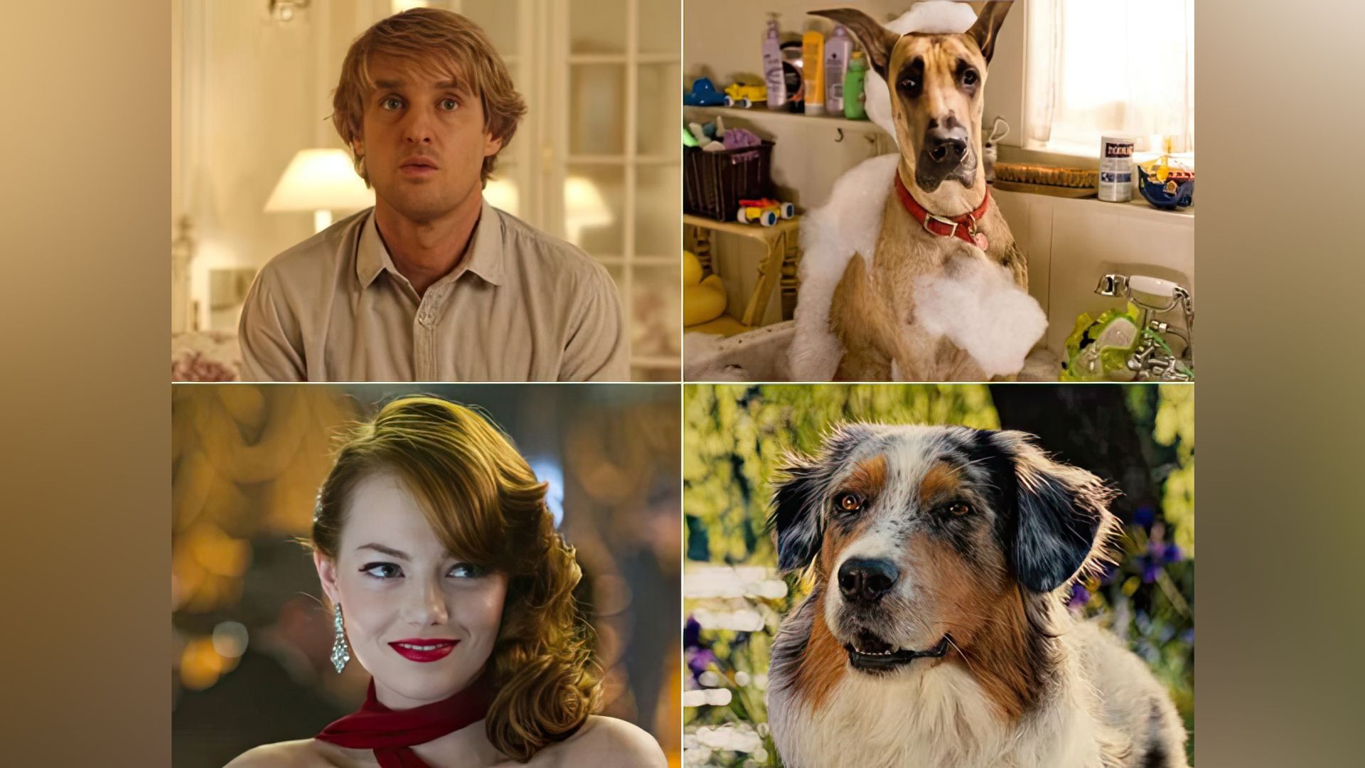Emma Stone and Owen Wilson voicing the main characters of “Marmaduke”